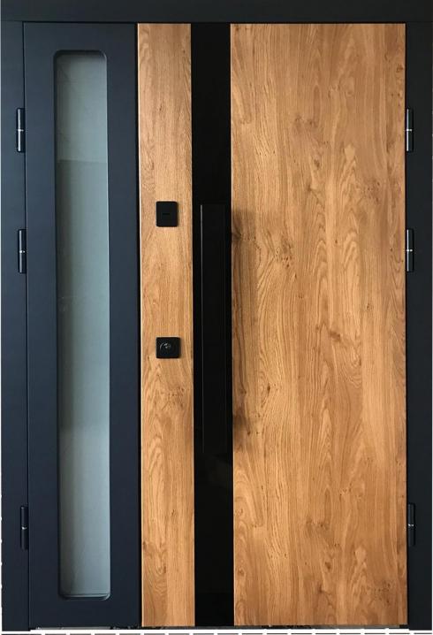 Вхідні двері в будинок Адамант